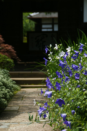 c0168984_11551811.jpg