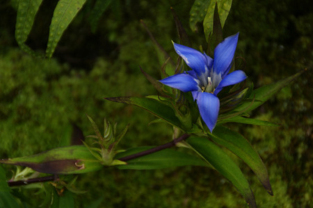 c0168984_11552395.jpg