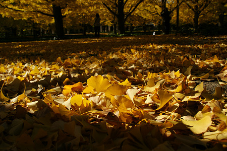 c0168984_11552425.jpg