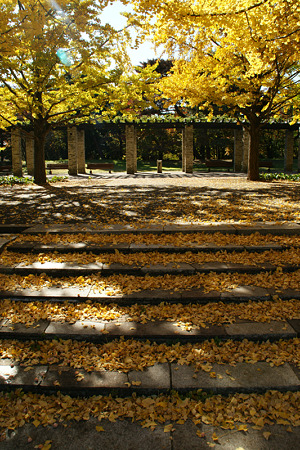c0168984_11552577.jpg
