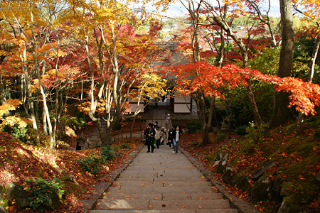 c0168984_11552638.jpg