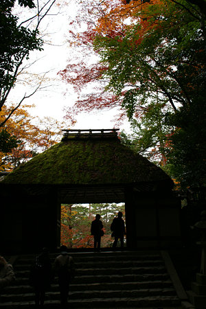 c0168984_12350427.jpg