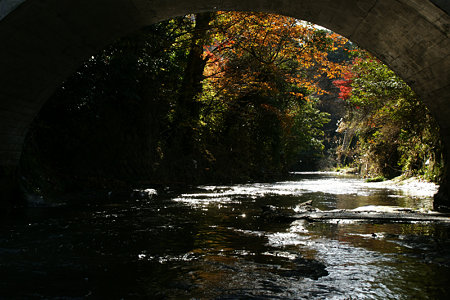 c0168984_12350465.jpg