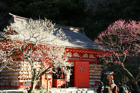 c0168984_14250298.jpg