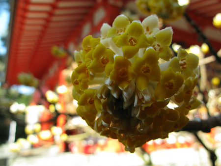 c0168984_14250577.jpg