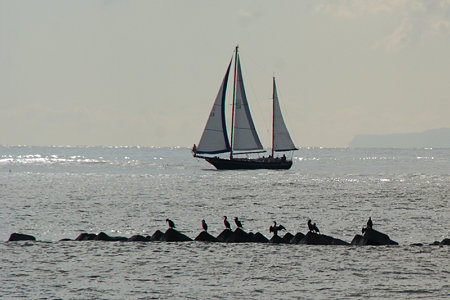 c0168984_14450627.jpg