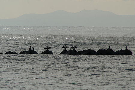 c0168984_14450649.jpg