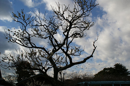 c0168984_14450776.jpg