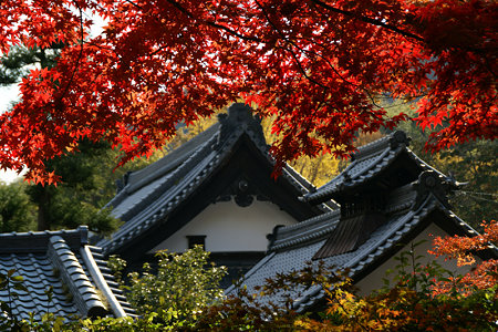 c0168984_14550145.jpg