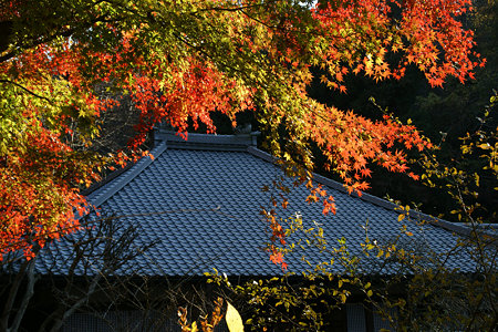 c0168984_14550399.jpg