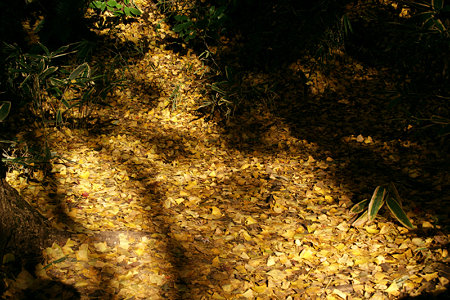 c0168984_14550590.jpg
