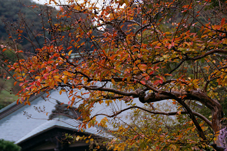 c0168984_16250332.jpg