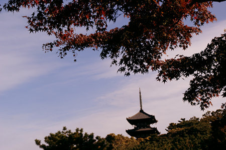 c0168984_16250664.jpg