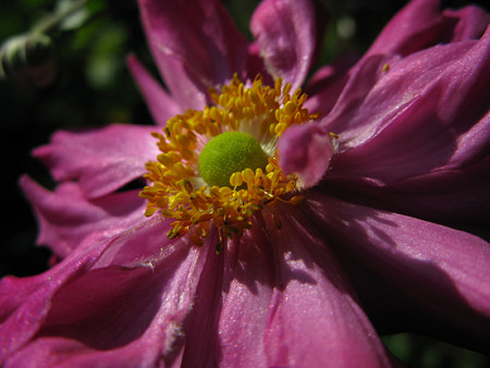 c0168984_17250369.jpg