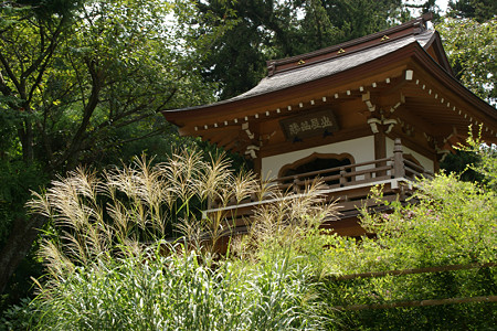 c0168984_19450412.jpg