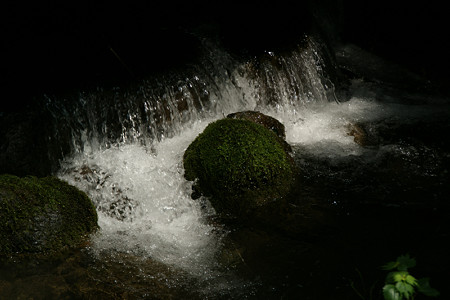 c0168984_20350352.jpg