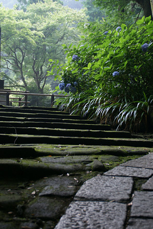 c0168984_20450313.jpg