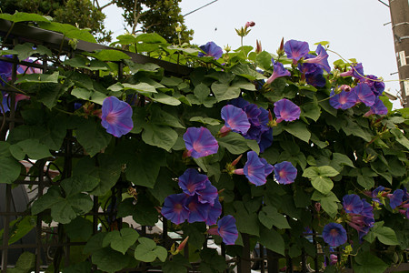 c0168984_20451075.jpg
