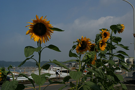 c0168984_20451086.jpg