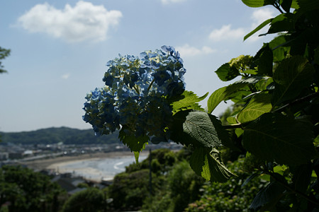 c0168984_21150280.jpg