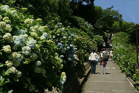 c0168984_21150324.jpg