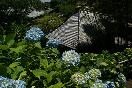 c0168984_21150411.jpg