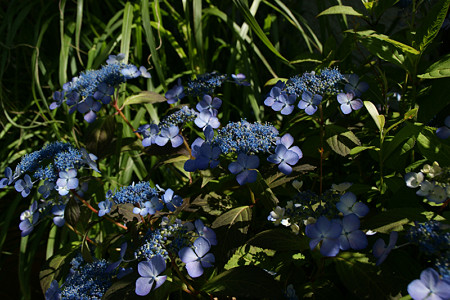 c0168984_21150455.jpg
