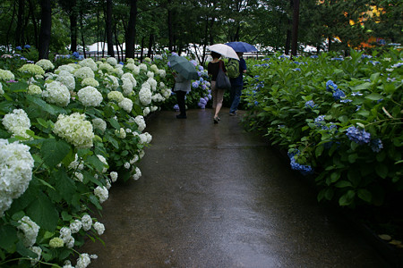 c0168984_21150900.jpg