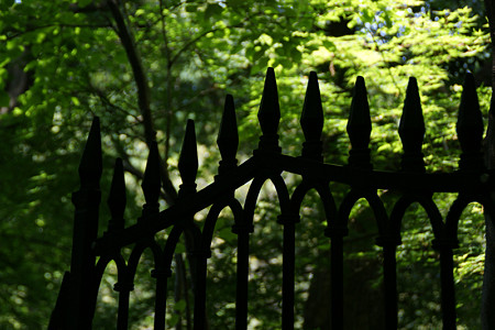 c0168984_21351057.jpg