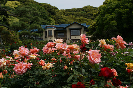 c0168984_21351088.jpg