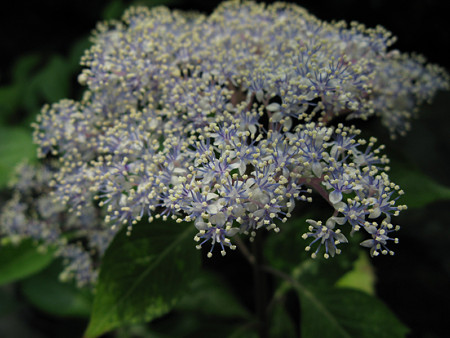 c0168984_21351368.jpg