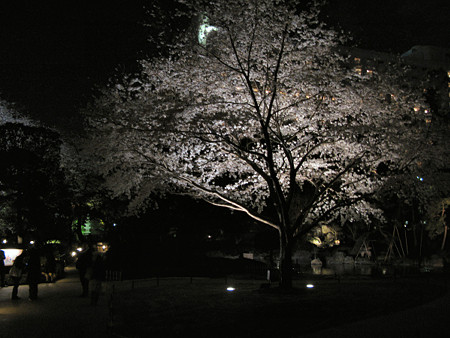 c0168984_22050635.jpg