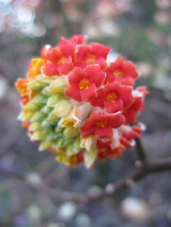 c0168984_22150440.jpg