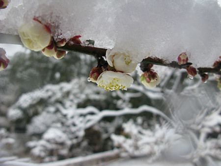 c0168984_22250475.jpg