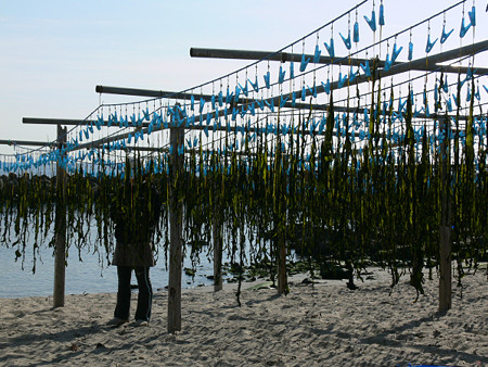 c0168984_22250979.jpg