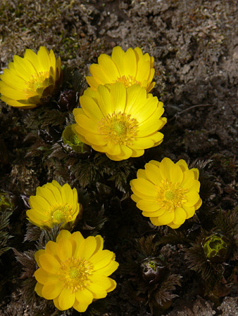 c0168984_22251276.jpg