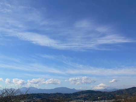 c0168984_22350876.jpg