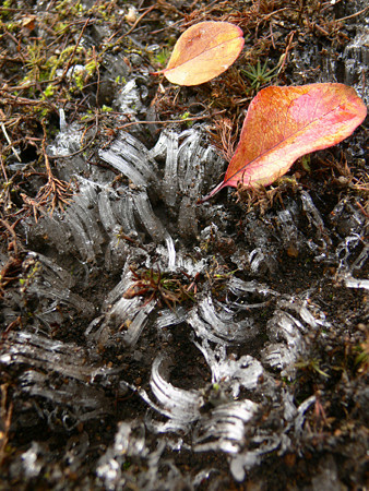 c0168984_22351431.jpg