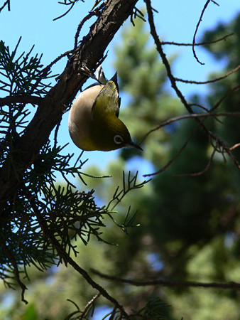 c0168984_22351590.jpg