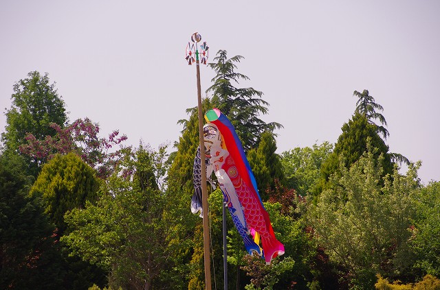 f0169884_22422272.jpg