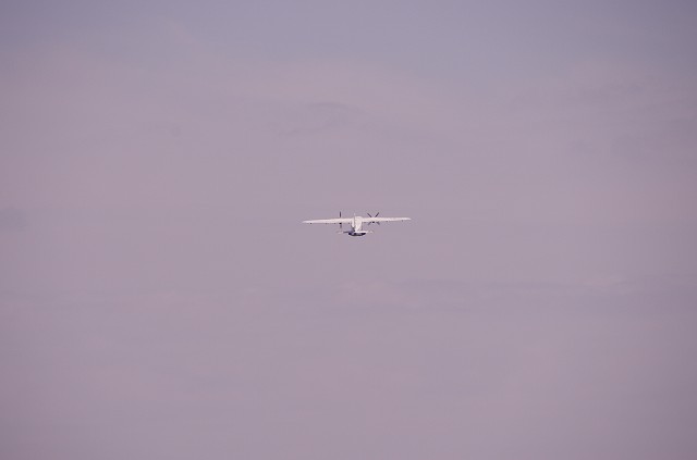 f0169884_22465890.jpg