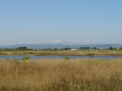 a0129586_14443856.jpg