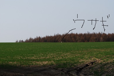 a0133886_2048469.jpg