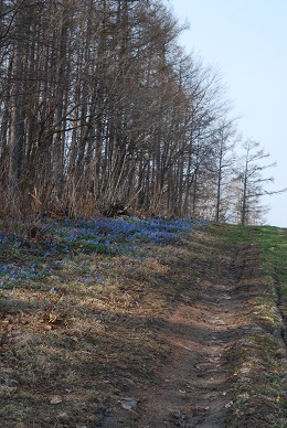 a0133886_2050256.jpg