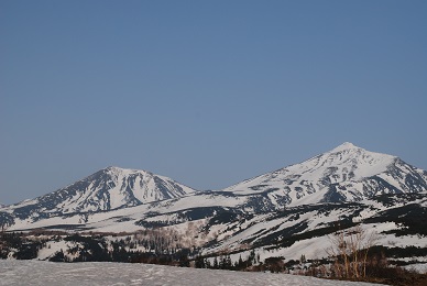 a0133886_20562778.jpg