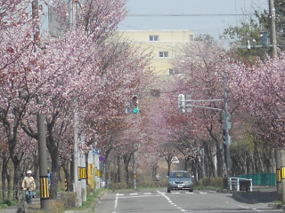 e0148889_14213570.jpg