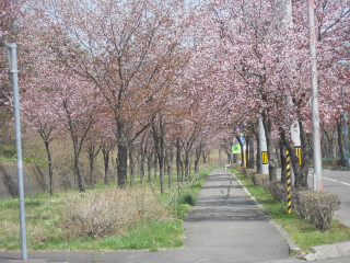 e0148889_14252549.jpg