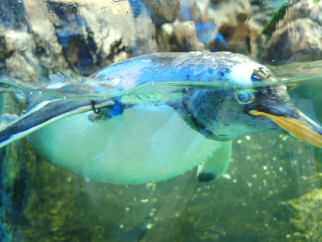 f0100593_13492619.jpg