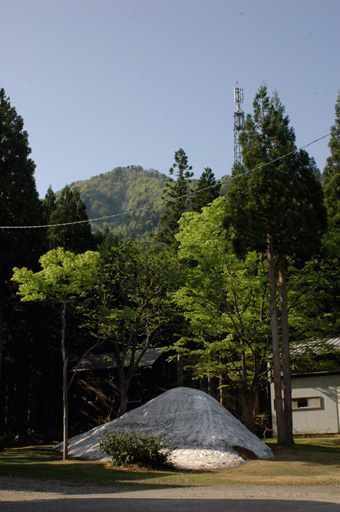 a0061599_7472173.jpg