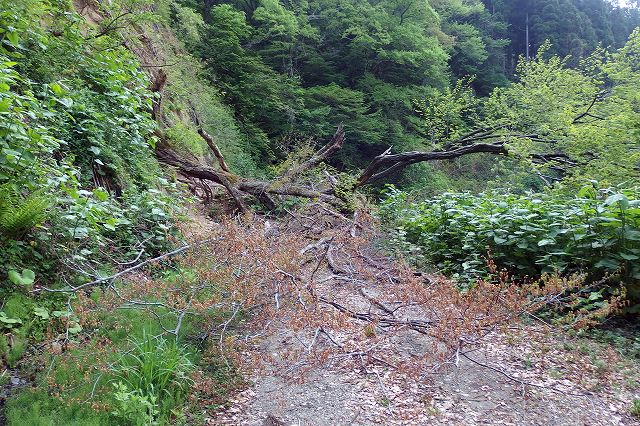 e0137200_22521977.jpg